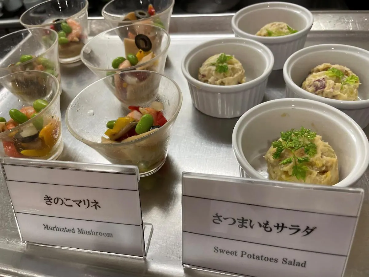 Dormy Inn Umeda Higashi Natural Hot Spring Osaka Hotel